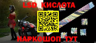прущие грибы Малгобек
