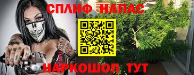 прущие грибы Малгобек