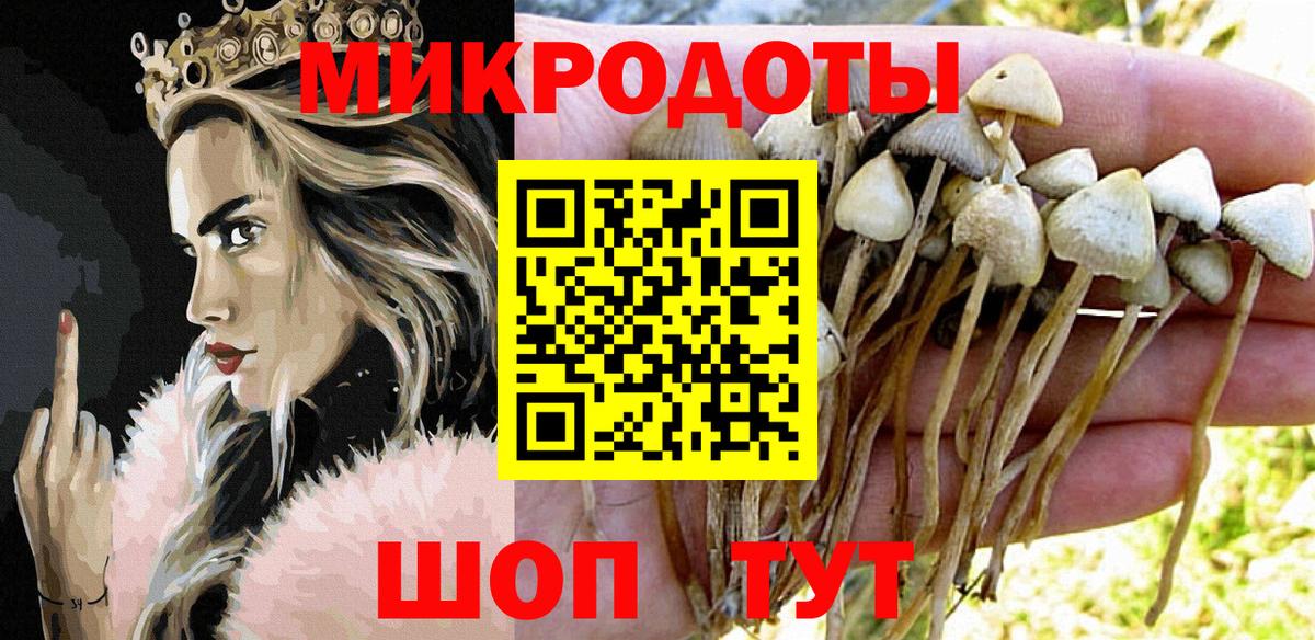 Галлюциногенные грибы ЛСД  Вход с VPN  Ефремов 