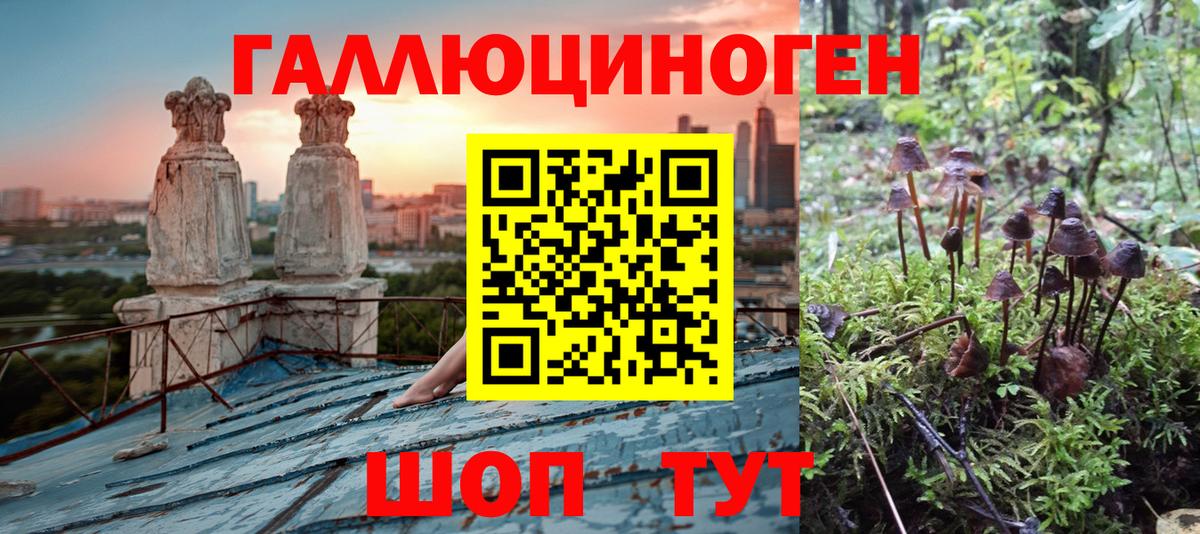 Галлюциногенные грибы MAGIC MUSHROOMS Ефремов